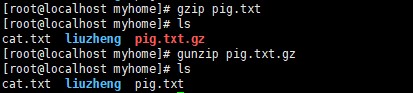 gzip/gunzip指令